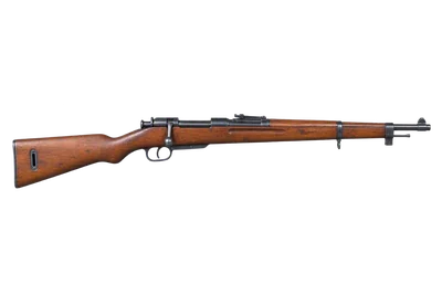 Carcano M91 TS