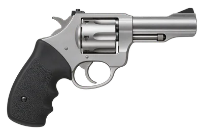 Charter Arms Pitbull