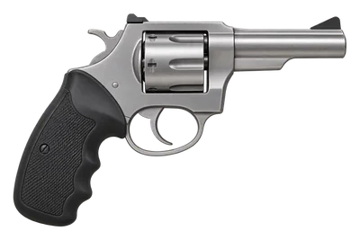 Charter Arms Police Bulldog