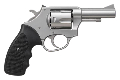 Charter Arms Police Undercover