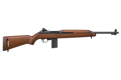 Chiappa M1-22