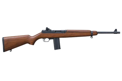 Chiappa M1-9