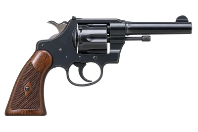 Colt Police Positive