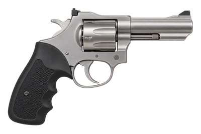 EAA Windicator