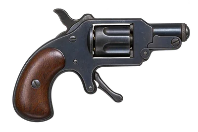 Frankenau Purse Pistol
