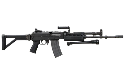 INSAS LMG