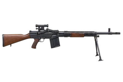 Lmg 25