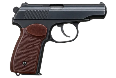 Makarov PM