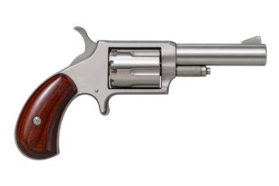 North American Arms 1860 Earl