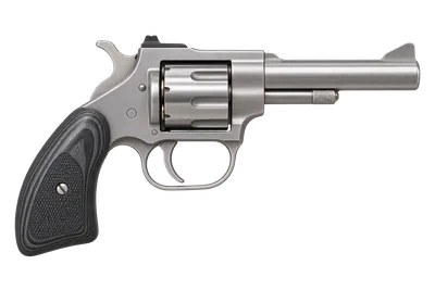 North American Arms Sidewinder