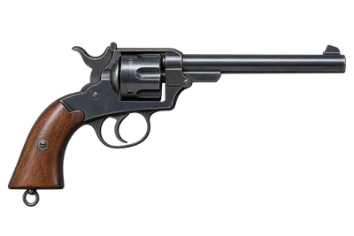 Reichsrevolver Model 1879