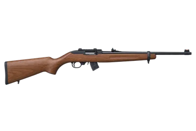 Ruger 10/22