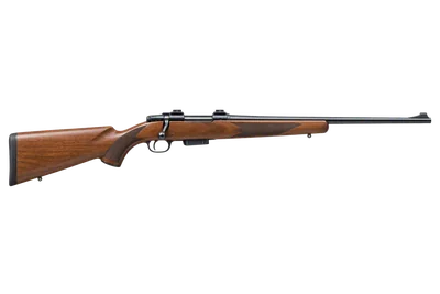 Ruger 77/22