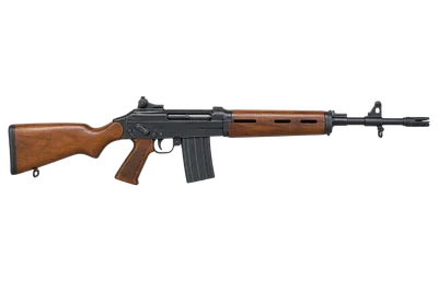 Ruger AC-556