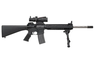 Squad Designated Marksman Rifle