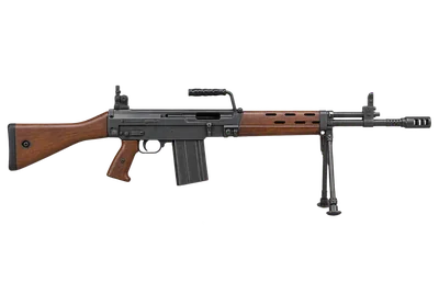 SIG SG 510