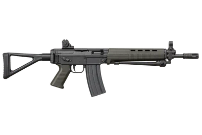 SIG SG 540