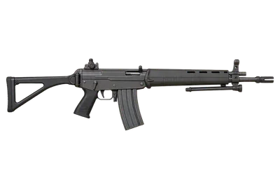 SIG SG 540