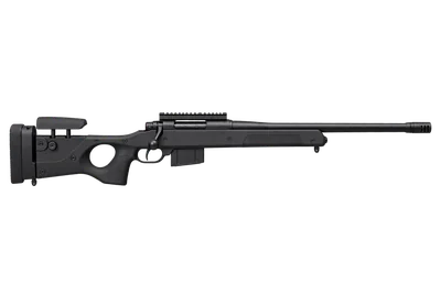 SIG SSG 3000