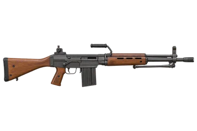 SIG 510 (Stgw 57)