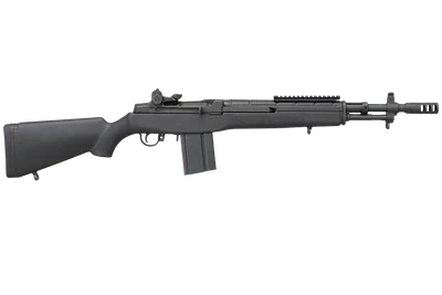 Springfield M1A Scout Squad
