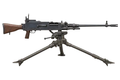 Type 1 HMG