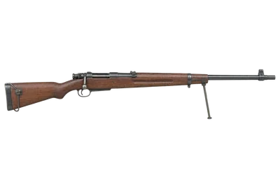 Type 100 TERA rifle, left-side profile render